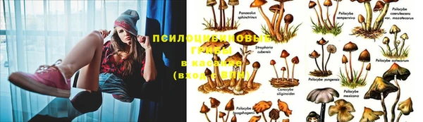 гашиш Нягань