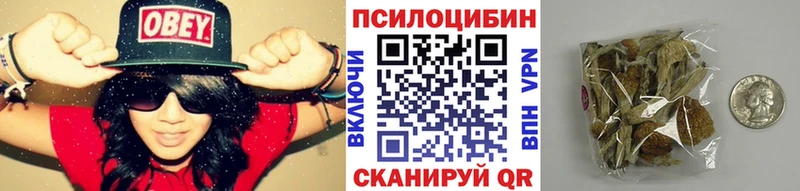 блэк спрут ССЫЛКА  Киселёвск  Галлюциногенные грибы прущие грибы 